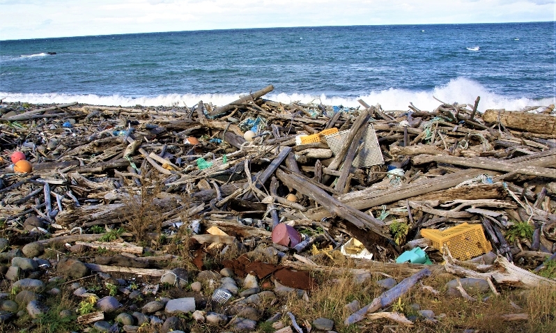 海岸に打ち上げられた流木とプラスチックごみ