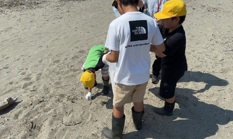 砂浜でゴミ拾いをする小学生